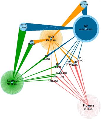 Revealing Cues for Fungal Interplay in the Plant–Air Interface in Vineyards